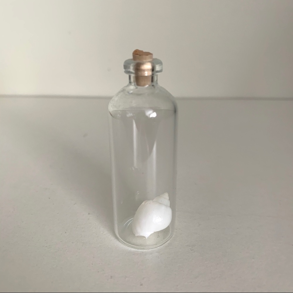 Vintage Small shell in a bottle decor accent